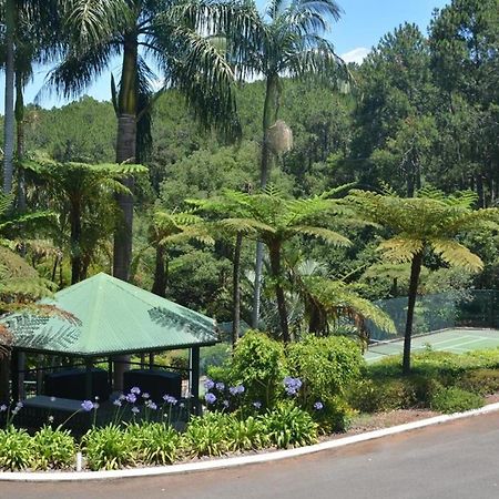 Montville Mountain Inn Exterior foto