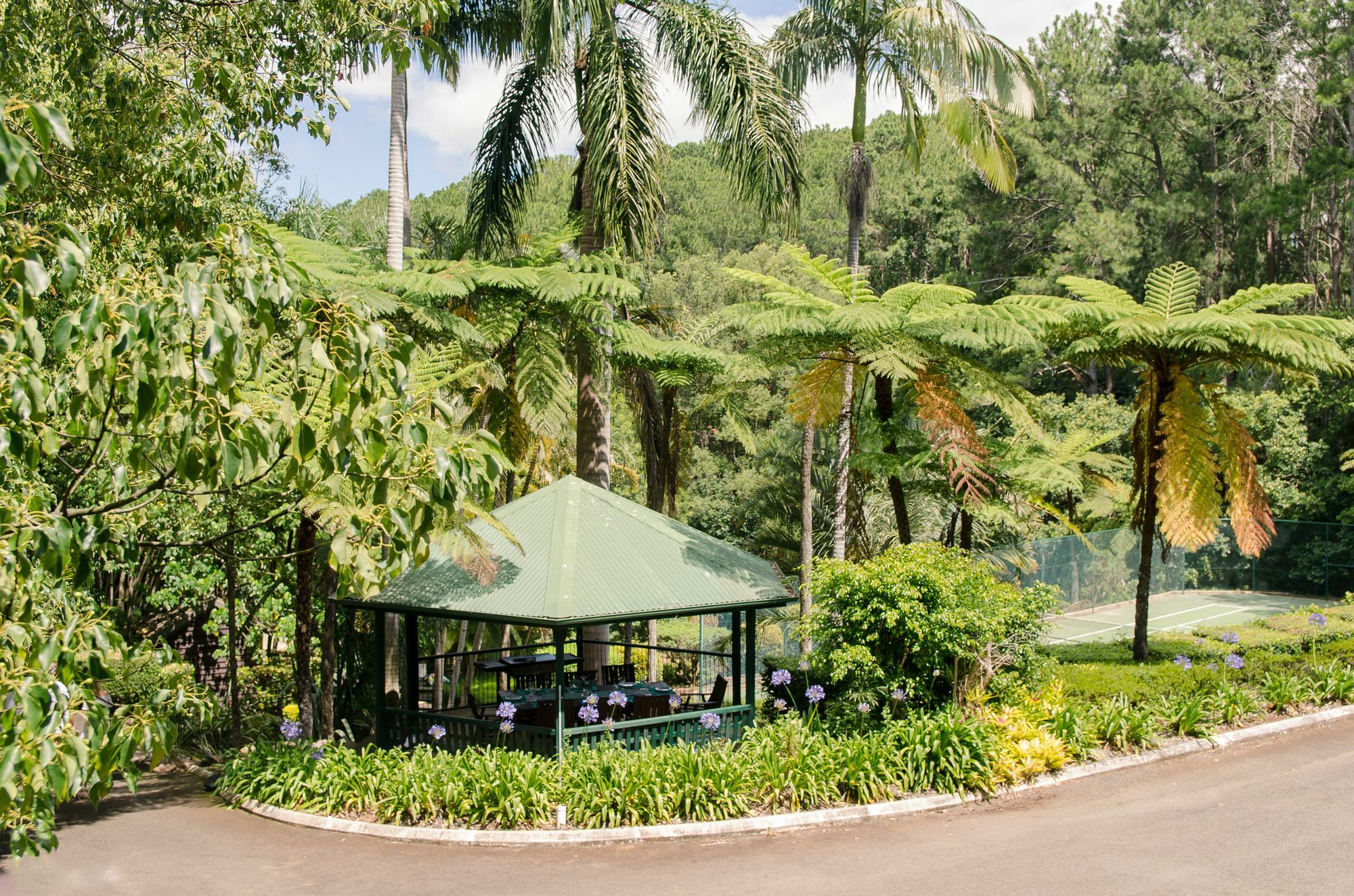 Montville Mountain Inn Exterior foto